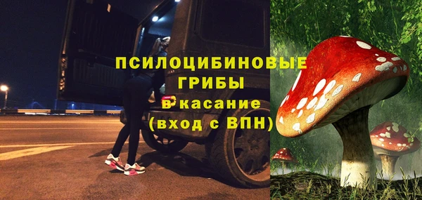 соль ск Михайлов