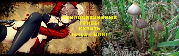 соль ск Михайлов