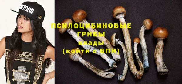 соль ск Михайлов