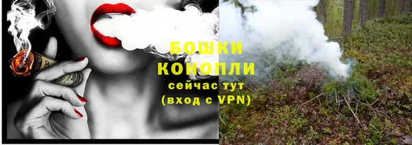 соль ск Михайлов