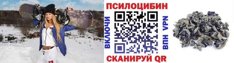 Купить закладки  Родники  Псилоцибиновые грибы Cubensis 